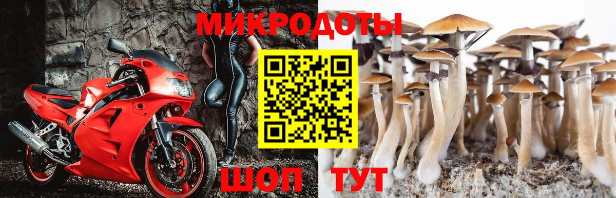 Галлюциногенные грибы прущие грибы  Вход с VPN  Кашира 